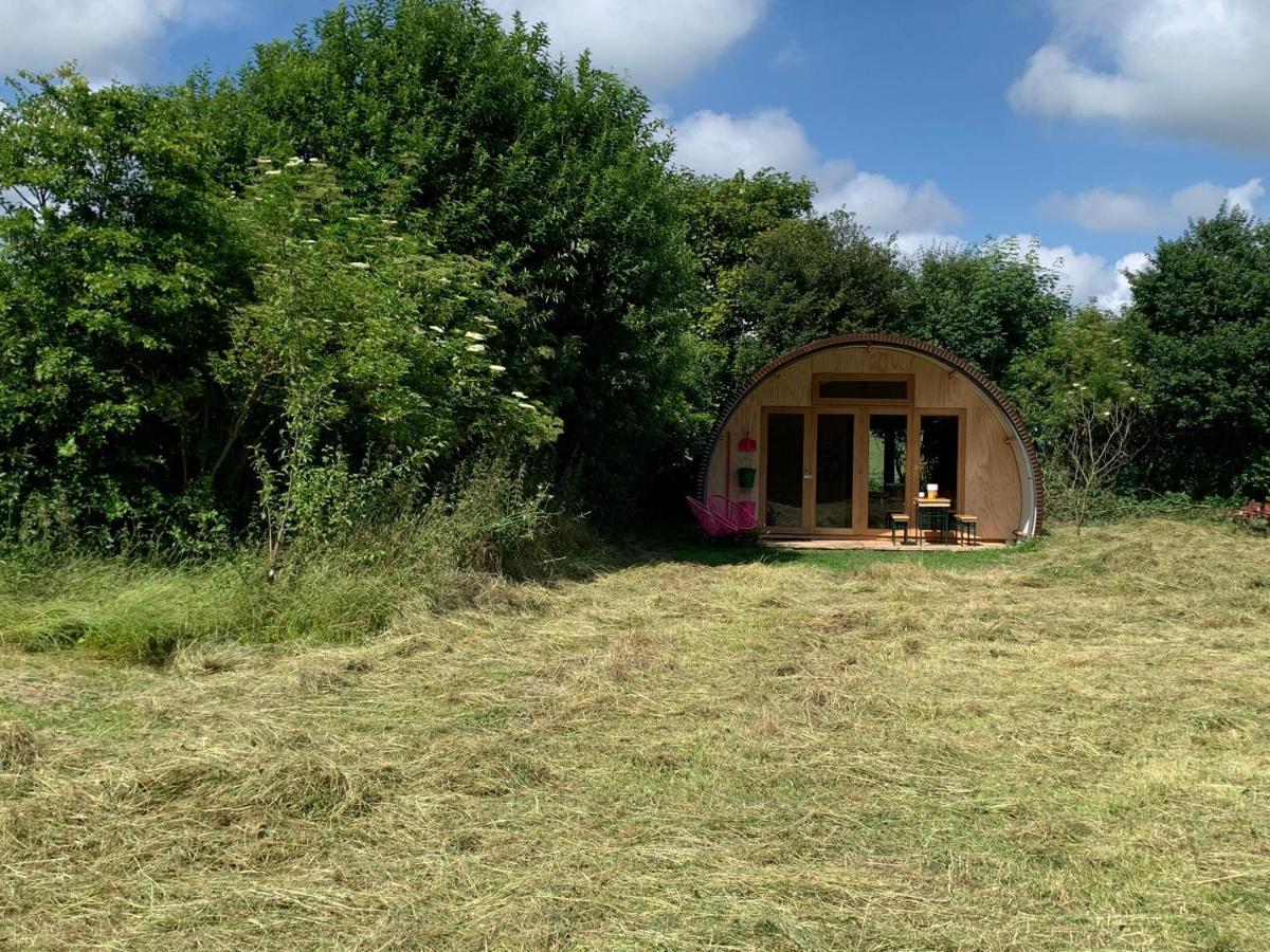 Het Lage Noorden Bed & Breakfast Marrum Luaran gambar