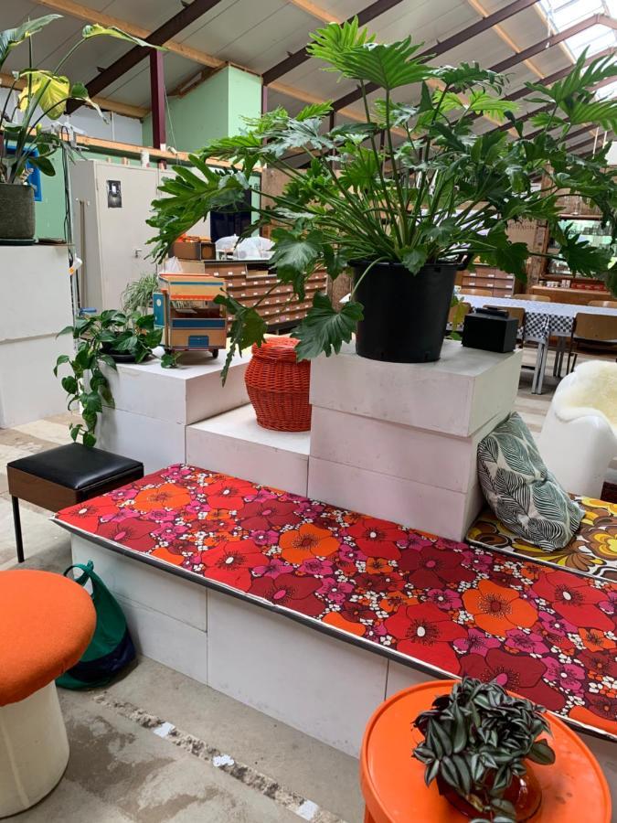 Het Lage Noorden Bed & Breakfast Marrum Luaran gambar