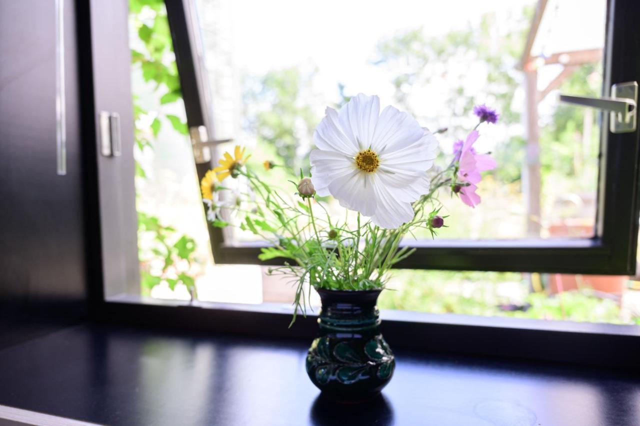 Het Lage Noorden Bed & Breakfast Marrum Luaran gambar